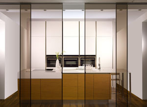 laminated glass panel / double-glazed / insulating / building