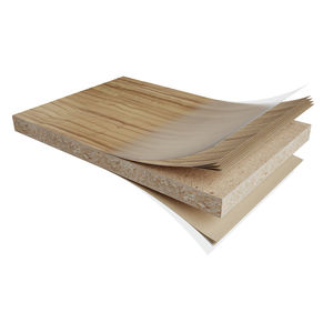 interior fitting decorative panel / wall-mounted / HPL / sandblasted