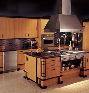 island extractor hood / with built-in lighting