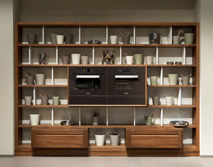 contemporary living room wall unit / walnut