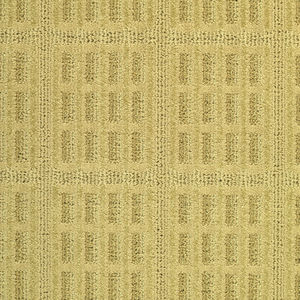 tufted carpet / synthetic / patterned