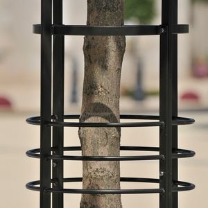steel tree guard