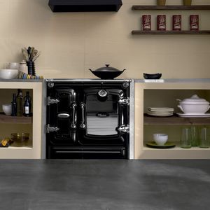 wood range cooker / cast iron