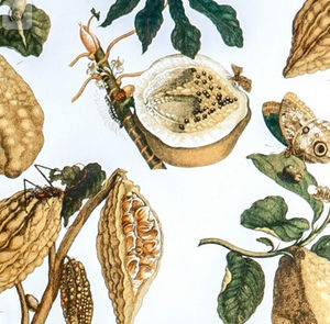 traditional wallpaper / nature pattern