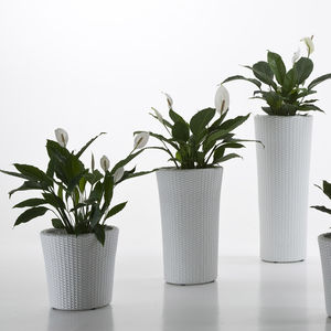 polyethylene garden pot / conical