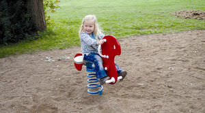 plywood spring toy / animals / 1-person