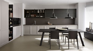 contemporary kitchen / steel / wooden / lacquered
