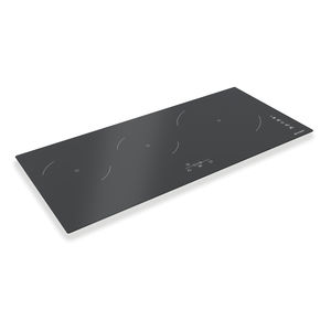 electric cooktop / induction