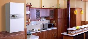 electric boiler / wall-mounted / residential