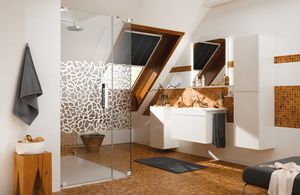 swing shower screen / corner