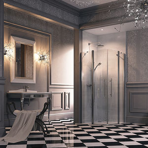 swing shower screen / corner / curved