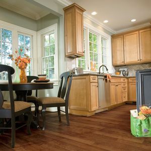 vinyl flooring / commercial / residential / strip