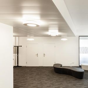 aluminum suspended ceiling / strip
