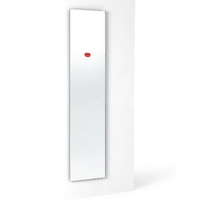 wall-mounted mirror / contemporary / rectangular / metal