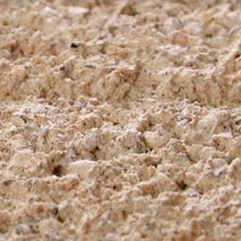 decorative coating / indoor / for walls / lime