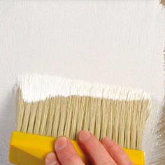 masonry primer / polymer / vinyl / indoor