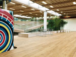 solid parquet flooring / nailed / oak / oiled