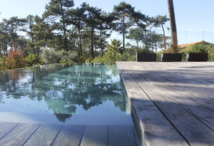 in-ground swimming pool / concrete / overflow / outdoor