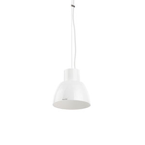 hanging light fixture / incandescent / HID / halogen