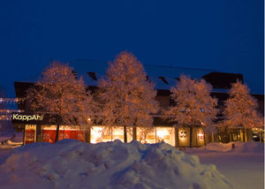 LED light garland / for public spaces