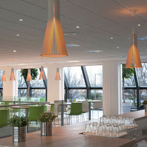 pendant lamp / contemporary / birch / halogen