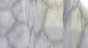 patterned sheer curtain fabric