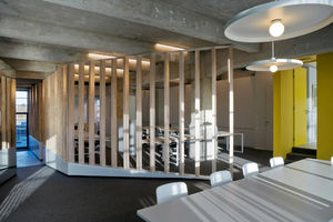 pendant lamp / contemporary / metal / halogen