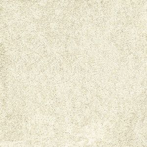 cut pile carpet / polyamide / contract / home
