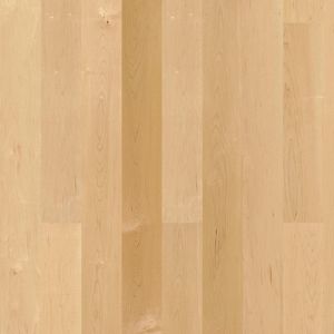 engineered parquet floor / glued / maple / natural oil