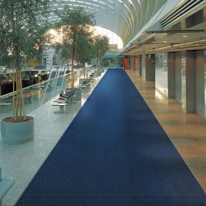 entrance mat for public buildings / velvet / polyamide / dust control