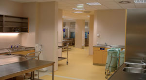 epoxy flooring / for hospitals / high-gloss / concrete look