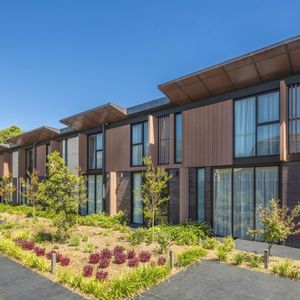 WPC cladding / matte / strip / wood look