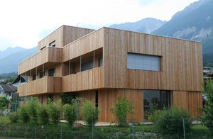 prefab house / individual / contemporary / wood framing