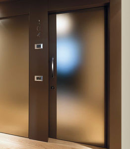 entry door / swing / wooden / steel