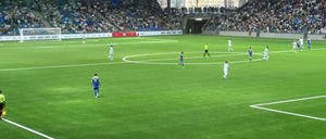 synthetic grass / for athletic fields / for soccer fields