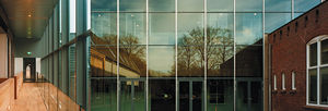 glass curtain wall / aluminum