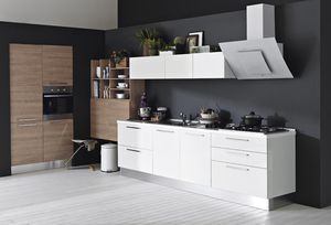 contemporary kitchen / laminate / lacquered