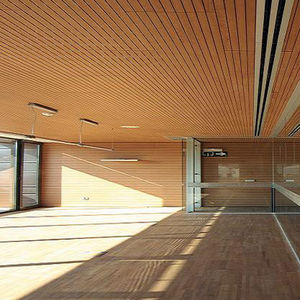 interior acoustic panel / wooden / perforated / commercial