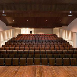 interior acoustic panel / wooden / auditorium / commercial