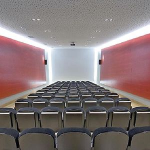 interior acoustic panel / wooden / perforated / auditorium