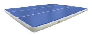 sports hall tatami