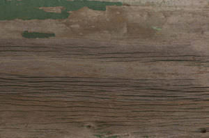 cover panel / solid wood / wall-mounted