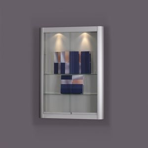 contemporary display case / wall-mounted / glass / wooden