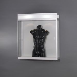 contemporary display case / wall-mounted / glass / anodized aluminum