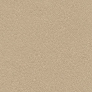 natural upholstery leather / plain