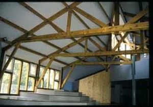 thermal insulation / roll / flocking / blown