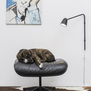 contemporary wall light / brass / steel / copper