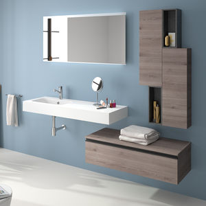 bathroom base cabinet / wall-mounted
