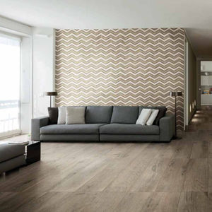 indoor tile / wall / floor / porcelain stoneware