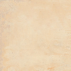 indoor tile / wall / floor / porcelain stoneware